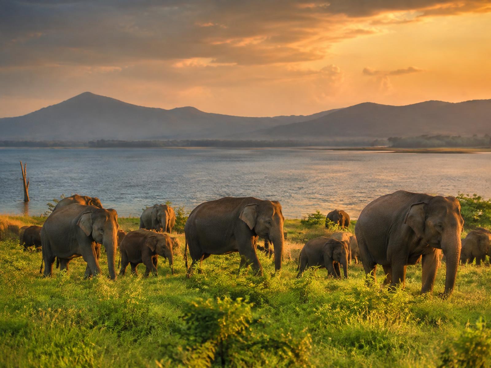 Wildlife & Hill Country journey